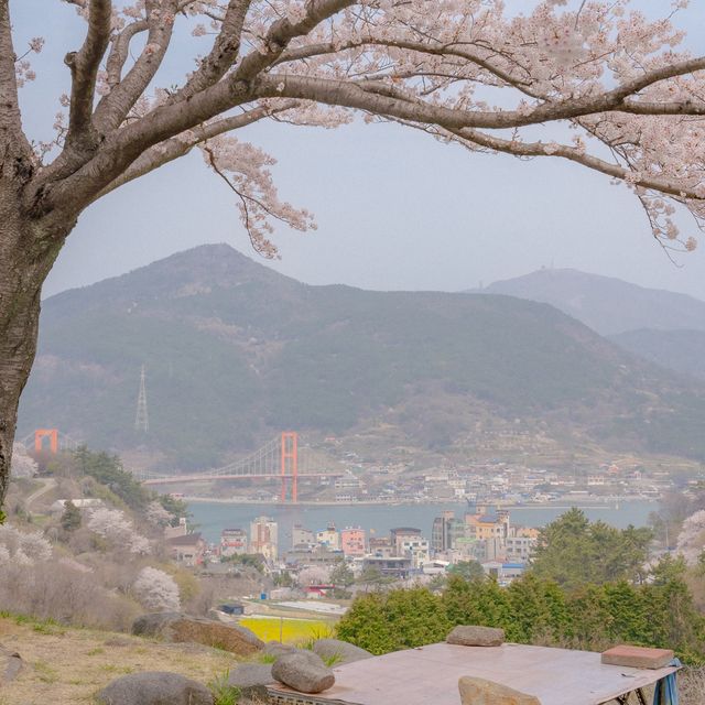 유채꽃이 가득가득 봄 여행지 남해