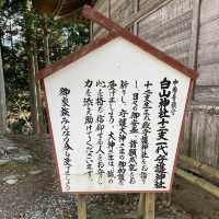【岩手県/中尊寺,金色堂】世界遺産