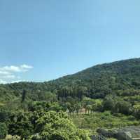 📍士林萬麗·鬧中取靜的住宿好所在⛰️