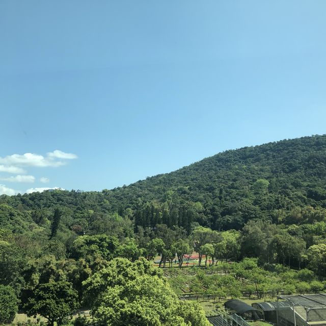 📍士林萬麗·鬧中取靜的住宿好所在⛰️