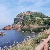 ✈️ 모든걸 훌훌 털어버리고 제주여행! 나만알고싶은 시크릿명소💋
