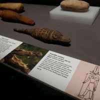 西澳博物館WA Museum Boola Bardip |古埃及文明展，首見貓咪、鰐魚木乃伊！ CT技術還原六具木乃伊生前面貌 | 埃及歷史迷必訪！