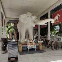 เที่ยววัดปฏิบัติธรรม ที่วัดอัมพวัน จ.สิงห์บุรี 