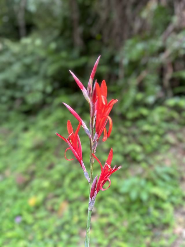 台北近郊自然風光 — 石碇千島湖