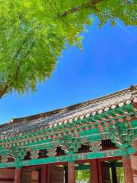 울창한 대나무숲 포토존이 유명한 전주 핫플!🍃🎋