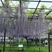 曼陀羅寺公園