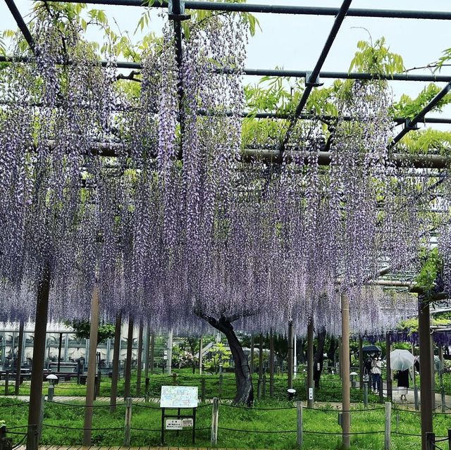 曼陀羅寺公園