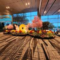 The marvelous changi airport 