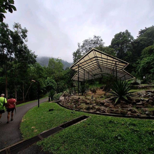 🌲 Lush Greens @ Penang Botanical Gardens