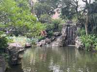 親子好去處 @ 城門谷公園