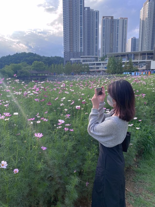 피크닉 맛집, 야경명소 동탄 호수공원 🎆🌃
