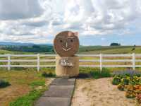 北海道の雄大な景色！新栄の丘展望公園
