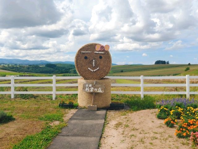北海道の雄大な景色！新栄の丘展望公園