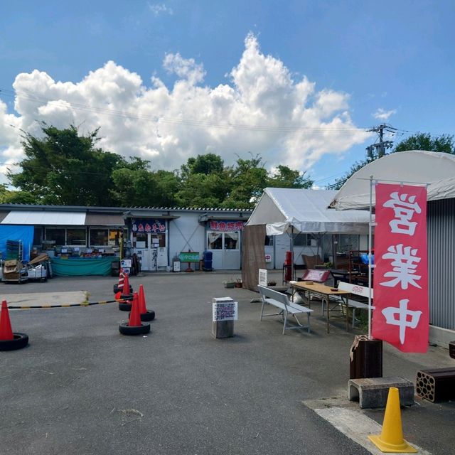 愛知旅行！「多賀の里」「魚弘」