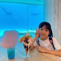🐬🍨日本福岡 不能錯過的水族館餐廳😍