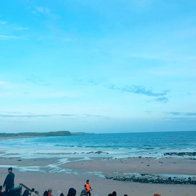 Phillip Island Penguin Parade, Melbourne 🇦🇺