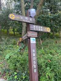 가벼운 국내 등산코스
