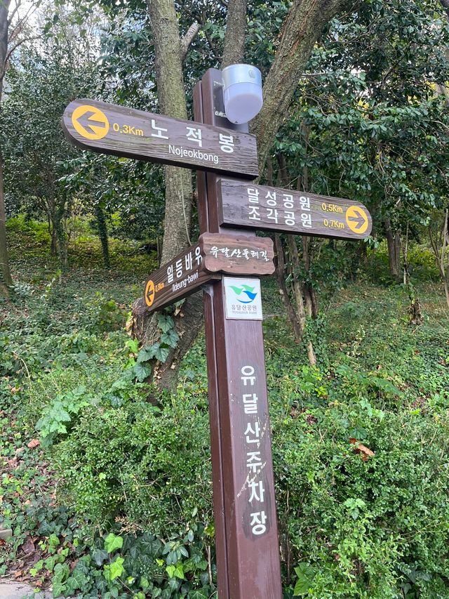 가벼운 국내 등산코스