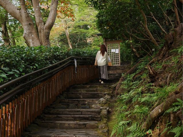 嵐山 祐齋亭 賞楓名所 打卡熱點