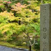 苔寺🕉充滿意境的「西芳寺」