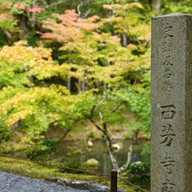 苔寺🕉充滿意境的「西芳寺」