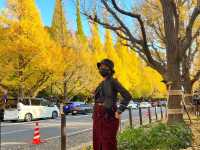 Autumn In Tokyo