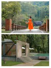 ให้ดอกไม้และขุนเขาโอบกอดเราที่ "Flora Creek"