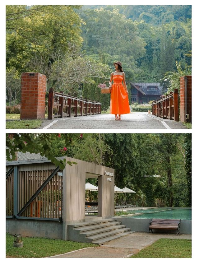 ให้ดอกไม้และขุนเขาโอบกอดเราที่ "Flora Creek"