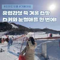 강원도 겨울 필수코스☃️ 눈썰매장으로 떠나요!