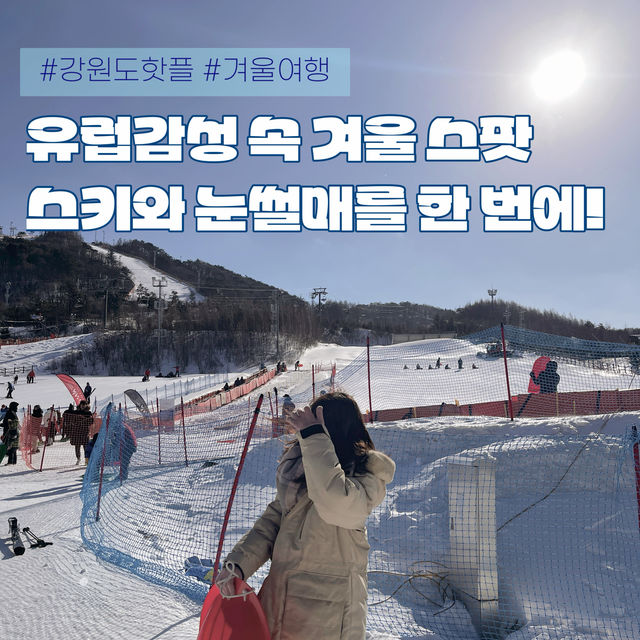 강원도 겨울 필수코스☃️ 눈썰매장으로 떠나요!