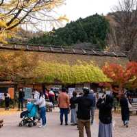  Korankei จุดชมใบไม้เปลี่ยนสีที่สวยมากในญี่ปุ่น