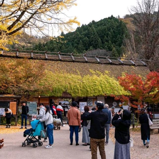 Korankei จุดชมใบไม้เปลี่ยนสีที่สวยมากในญี่ปุ่น