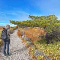 初心者おすすめ登山スポット【霧ヶ峰編】