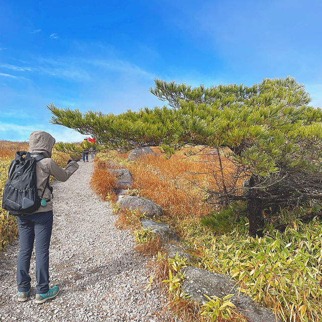 初心者おすすめ登山スポット【霧ヶ峰編】