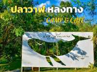 ปลาวาฬหลงทาง Camp & Cafe