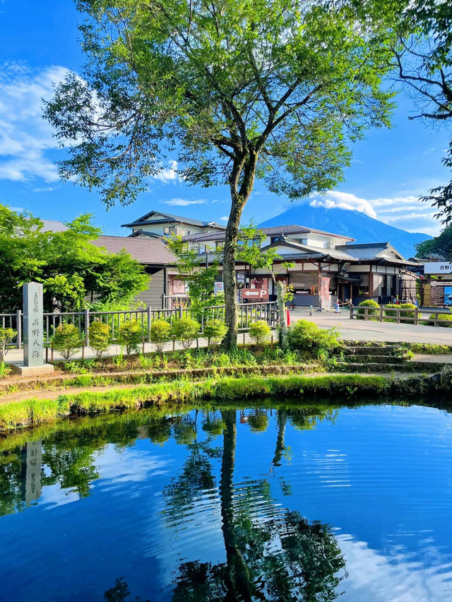 【絶景】神秘的なパワースポット！世界遺産の忍野八海🗻