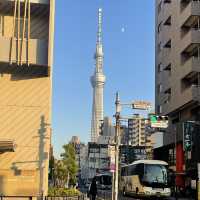 The beautiful Tokyo Skytree Tower