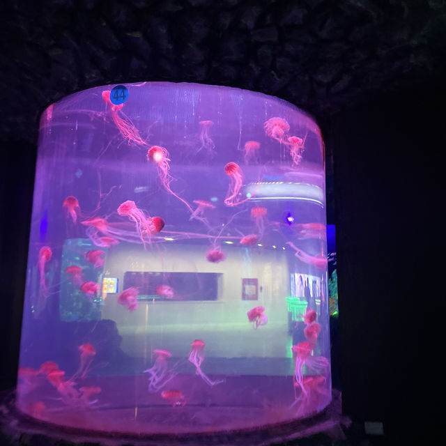 Aquarium zoo