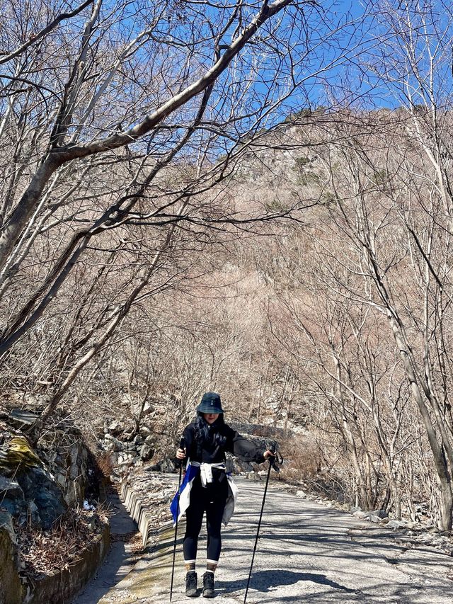 영남알프스 8봉 “신불산, 간월산” 등산
