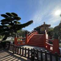 香港小京都，南蓮園池