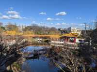 Daishi park