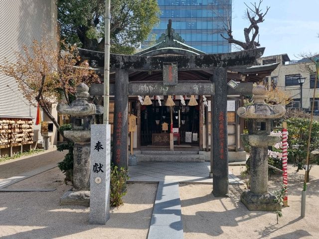⛩️후쿠오카 중심지에 있는 구시다 신사⛩️