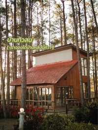 พาไปป่าสนเชียงใหม่ ที่ขึ้นชื่อเรื่องจองยากมากก 🪵🌲