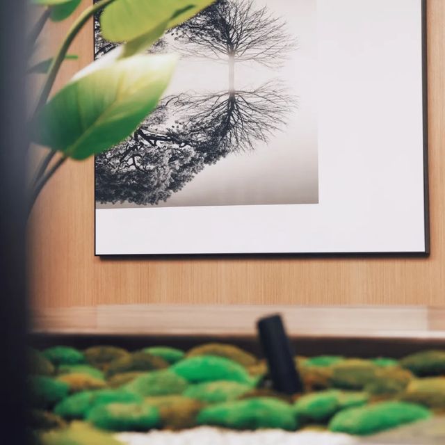 新加坡烏節希爾頓酒店：舒適，獨特