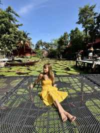 Phuket Viral Cafe you shouldn't miss 🪷