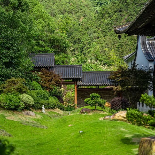 農禪寺！靜謐氣息世外桃源