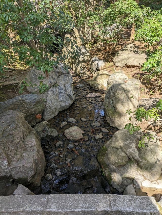 龍安寺の境内の鏡容池(おしどり池)の、水分石(みくまり石)の上には、２羽の鳥が仲良く並んでいた