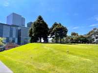 Docklands Park
