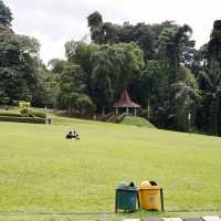 吉隆坡大自然寶地，身心淨化～馬來西亞大學植物園