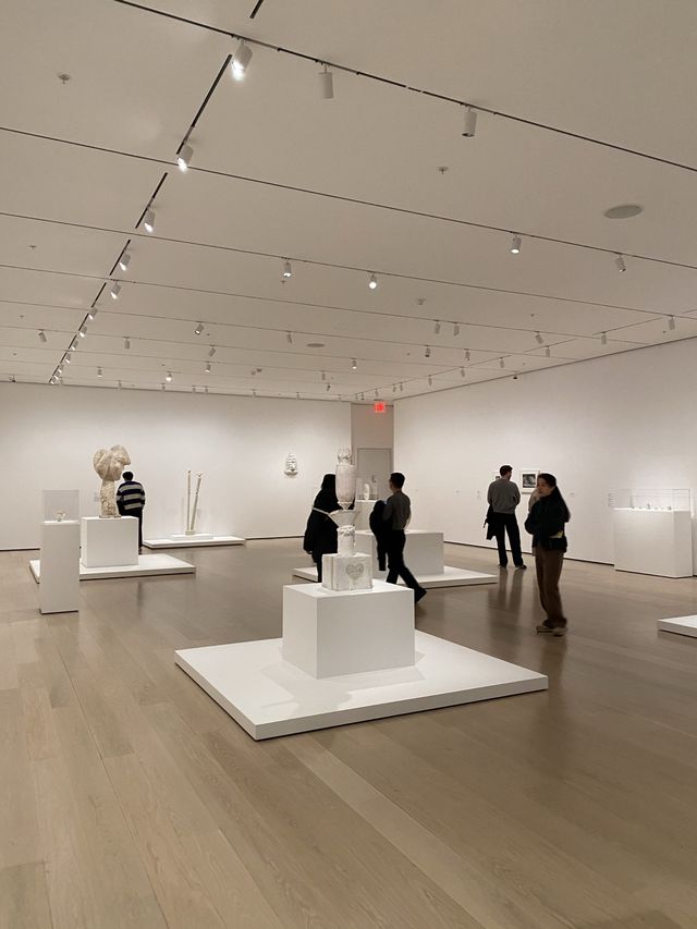 Beautiful Contemporary Art Museum in NYC-MoMA